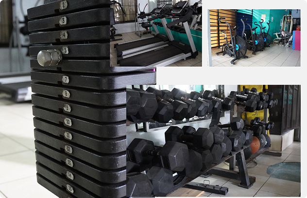 Imagen representativa:Gimnasio de pesas