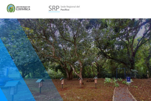 imagen destacada UCR instala meliponario y hotel de abejas solitarias en el Área Protegida Los Garrobos