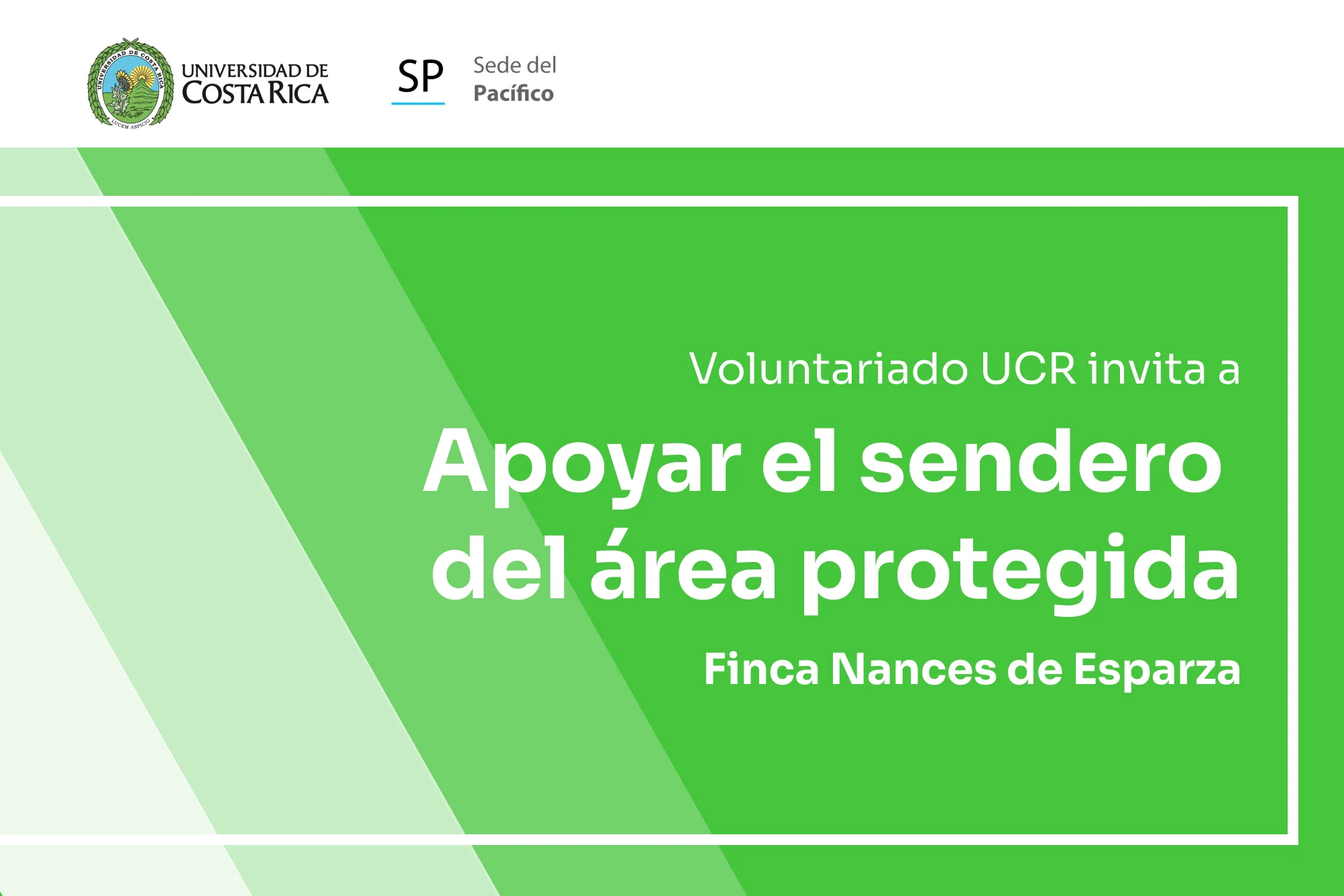 Voluntariado ambiental